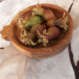 زیر لیوانی طرح انار آرت دکو چوب